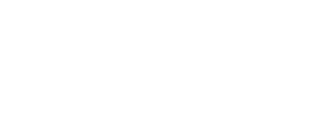 Vallor Trucks